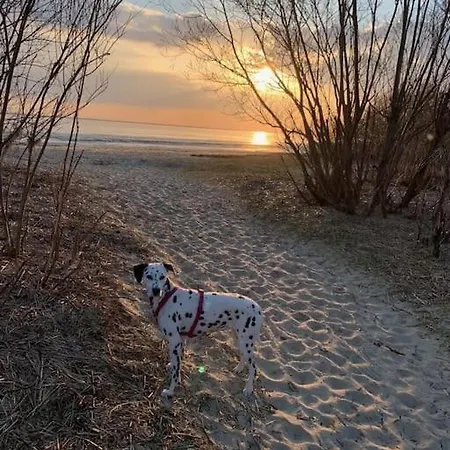 Luett Nest In Hunde Sind Herzlich Willkommen Apartment Sankt Margarethen