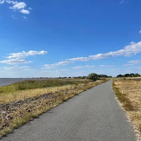 Luett Nest In Hunde Sind Herzlich Willkommen