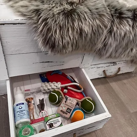 Luett Nest In Hunde Sind Herzlich Willkommen Sankt Margarethen